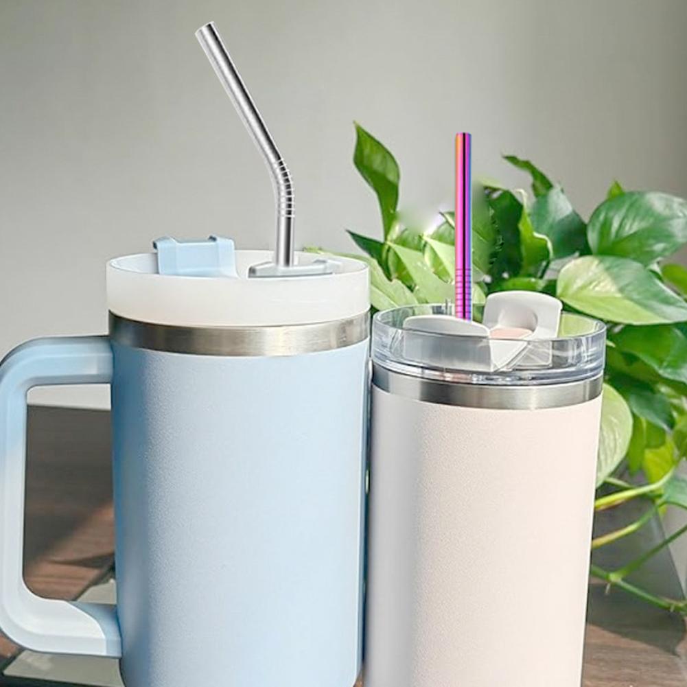 6Pcs 25cm Steel Replacement St - đánh giá và giá Reusable Straw