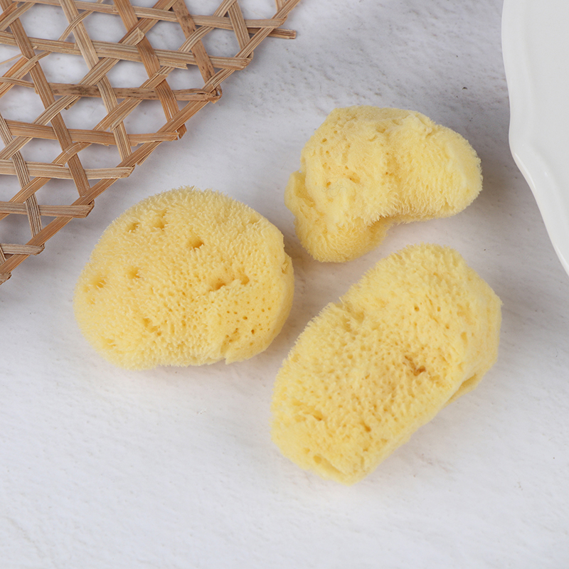 Special Texture Production Cle - đánh giá và giá Eco Sponge