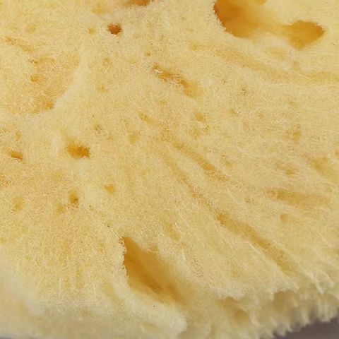 Special Texture Production Cle - đánh giá và giá Eco Sponge